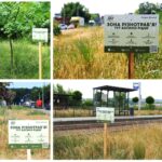 У Вінниці фахівці КП «Інститут розвитку міст» тестують проєкт створення міських лук