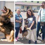 Другий шанс на дбайливих господарів: історія пса Майка, якому в Вінницькому притулку ампутували лапу, чим врятували житт