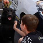 Ідеї новорічних малюнків для ЗСУ: дитячі привітання для військових з новорічними святами