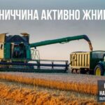 Вінниччина активно жнивує: намолочено близько 300 тис. тонн зерна ранньої групи