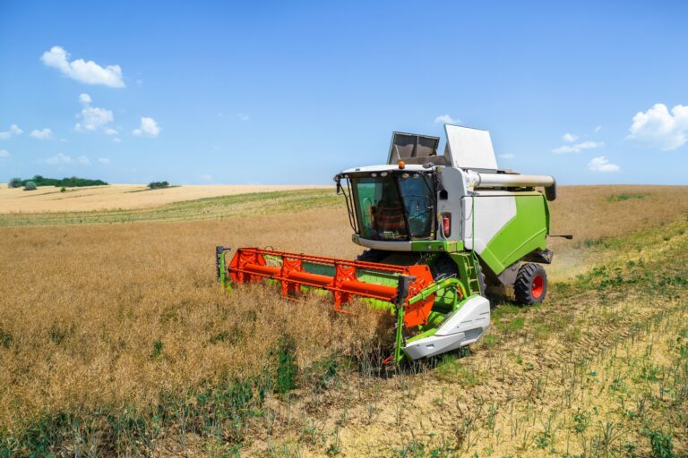 Aerial drone view of the harvester gathering crops in the field