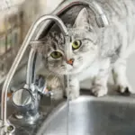 7 серпня у Вінниці не буде води та світла за низкою адрес: перелік