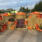 Атмосферна та затишна осіння фотозона: Подільський зоопарк відкрив нову локацію (ФОТО)