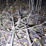 “Облаштував нарколабораторію прямо в квартирі”, - у Вінниці затримали чоловіка, який виготовляв амфетамін
