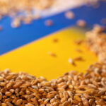 Зеленський анонсував запуск нового "зернового коридору" – як відбуватиметься експорт