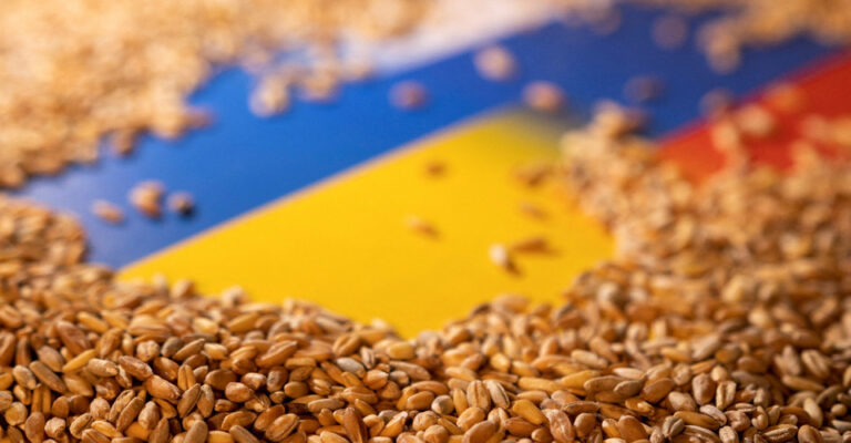 240379_zerno_reuters_new_960x380_0