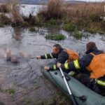 На Вінниччині знайдено тіло жінки у водоймі