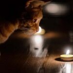 "Цілодобова варта" про відключення води та світла сьогодні у Вінниці: перелік адрес