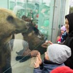 Міжрегіональний координаційний гуманітарний штаб організував дозвілля для більше півтора тисячі дітей військових та пере