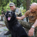 “Назвали Замостянську “швейцарським куточком”, - завершився візит Маріупольської делегації до Вінниці