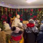Вінничанка власноруч створила резиденцію Святого Миколая (ВІДЕО)