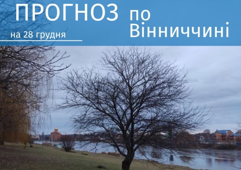 погода