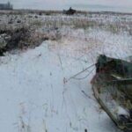 Лубінець підтвердив, що деякі полонені, які нібито були на борту Іл-76, були обміняні раніше