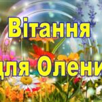 p1SdWHZe1Mri8f95VgNB1CKOOlGmcgnRRUKH5ruQ