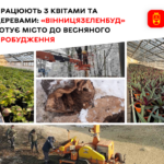 Вінниця вже готується до весни: «Вінницязеленбуд» працює з квітами та деревами