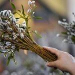 Коли буде Вербна неділя 2024 року: чи змінилася дата через новий календар, традиції свята
