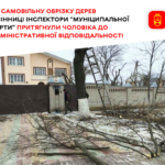 Вінничанина, який самовільно обрізав дерева, "Муніципальна варта" притягнула до адміністративної відповідальності