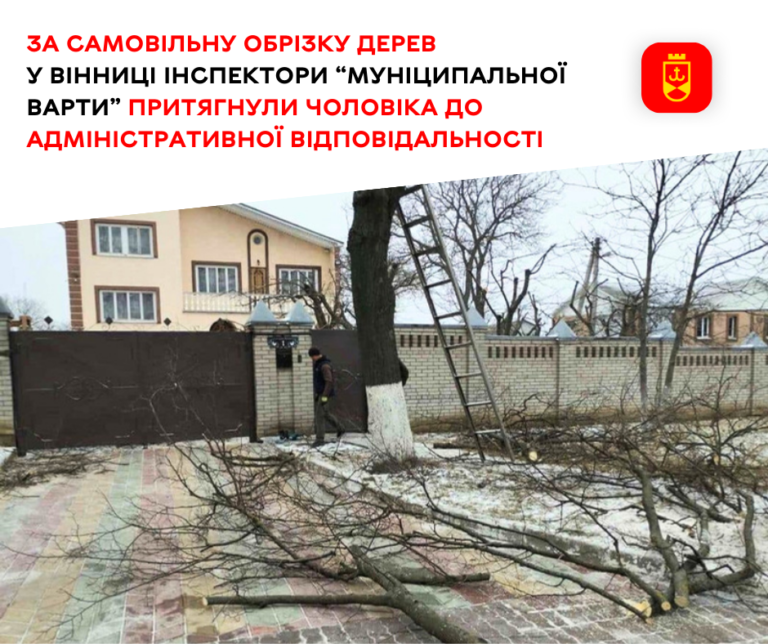За самовільну обрізку дерев у Вінниці інспектори “муніц