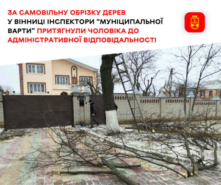 За самовільну обрізку дерев у Вінниці інспектори “муніц
