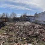 Моторошне видовище: на Вінниччині виявили звалище кісток тварин (фото)