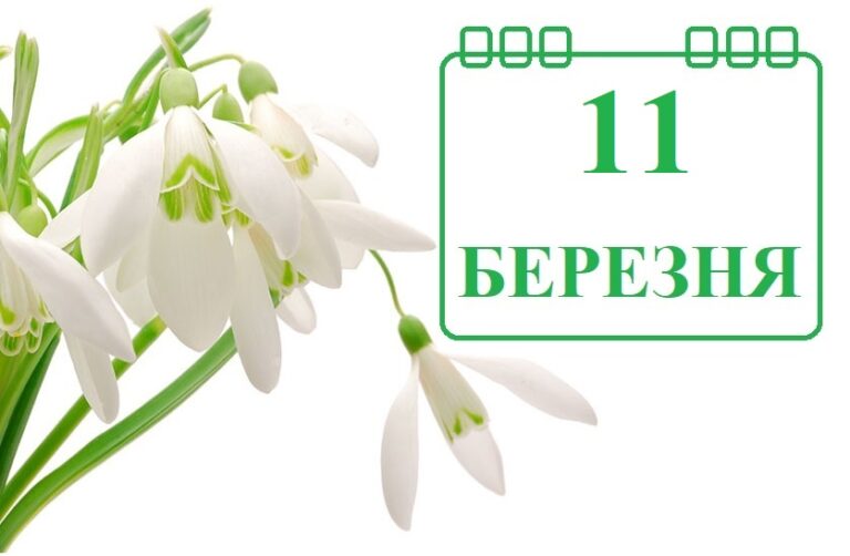 11-bereznya