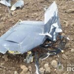 Мавпа зробила селфі з туристами (ФОТО)