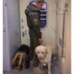 Український військовий змушений був їхати в тамбурі потяга: подробиці