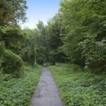 У Вінниці хочуть забудувати ботанічний сад? - відповідь вінничан