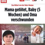 Тварини, які стали символами у світових війнах: неймовірні історії про чотирилапих військових