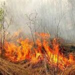 Через спалювання трави на Вінниччині загинув літній чоловік