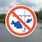 На Вінниччині у квітні розпочинається нерестова заборона риболовлі