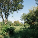У Вінниці побільшало пам’яток культурної спадщини
