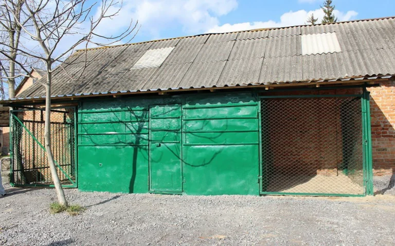 tvarynki1-extra-extra-large