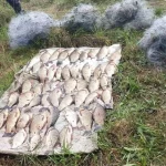 У Вінницькій області браконьєр виловив сітками карасів на річці Рів