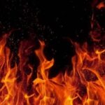 Трагедія у Криму: згорів зоопарк, внаслідок чого загинуло 200 тварин (відео)
