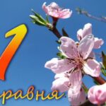 День перекладача 2024: привітання зі святом українською мовою