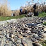 День працівника державної виконавчої служби: найкращі привітання зі святом