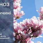 Погода у Вінниці сьогодні, 10 квітня. Прогноз погоди по Вінницькій області