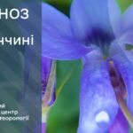 Погода у Вінниці 17 квітня. Прогноз погоди по Вінницькій області