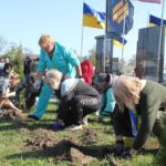 У Вінниці висадили особливі троянди на Алеї Героїв Сабарівського кладовища