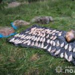 На Вінниччині чоловік незоконно виловив риби на 117 тисяч гривень