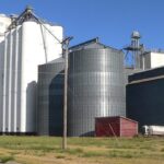 Канадська компанія Viterra купить елеватор у Вінницькій області: подробиці