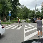 У Вінниці на Поділлі впало дерево на людину (оновлено)