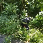У горах на Рахівщині рятувальники знайшли тіло 33-річного туриста з Вінниці (ФОТО)