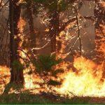 У вінницькі медзаклади уже завезли 900 "пакунків пацієнта"