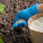 Аграрії Вінниччини можуть безкоштовно отримати мінеральні добрива на осінню посівну