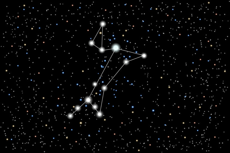 Vector illustration of the constellation Great Dog on a starry black sky background.