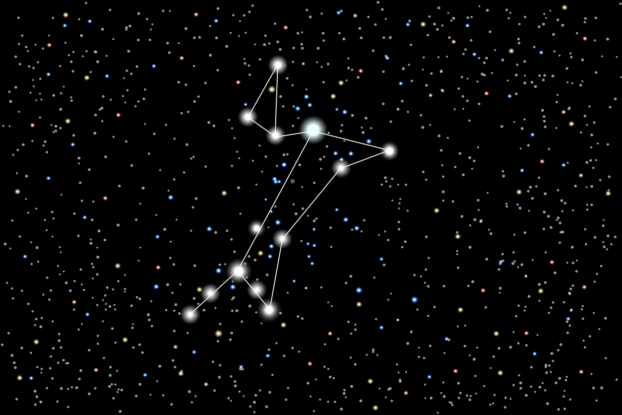 Vector illustration of the constellation Great Dog on a starry black sky background.