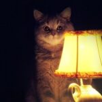 Сьогодні, 16 червня, у Вінниці та області не вимикатимуть світло: подробиці про ГПВ та черги