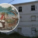 Встигни побачити диво природи у Вінниці: коли цвіте сакура навесні